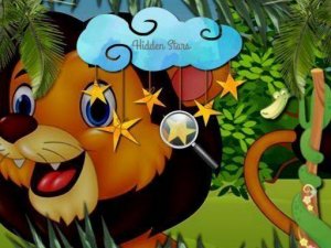 Hidden Star Safari