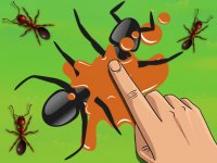 Smash the Ant - Online Puzzle Game