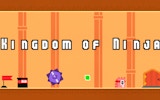 Kingdom of Ninja: Ninja Adventure Run Online Game