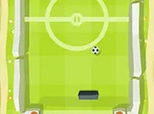 Paddle Goal Arena